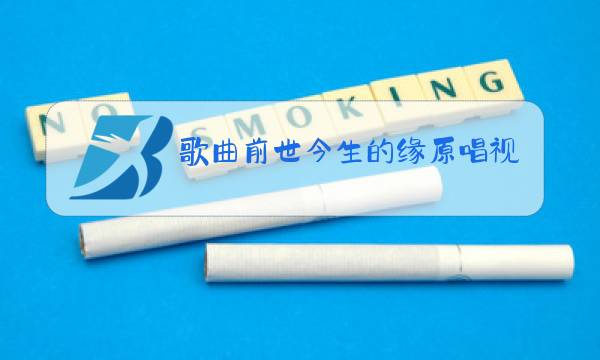 歌曲前世今生的缘原唱视频DJ舞曲图片