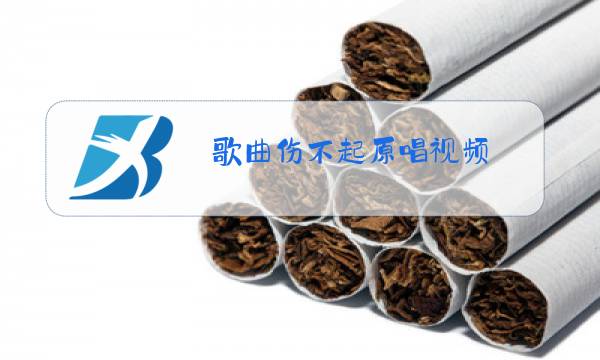 歌曲伤不起原唱视频图片