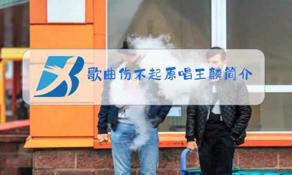 歌曲伤不起原唱王麟简介图片