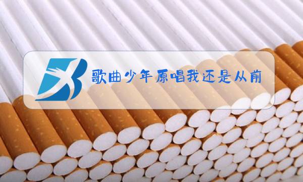 歌曲少年原唱我还是从前那个少年歌词图片