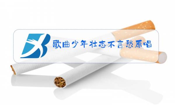 歌曲少年壮志不言愁原唱歌词图片