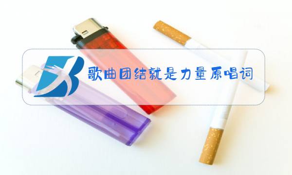 歌曲团结就是力量原唱词图片