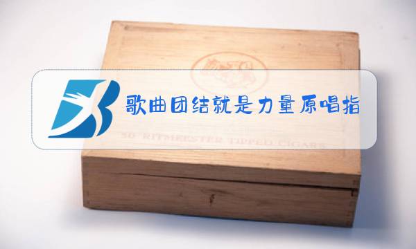 歌曲团结就是力量原唱指挥图片