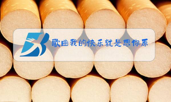 歌曲我的快乐就是想你原唱歌词图片