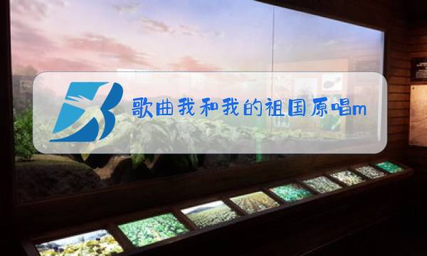 歌曲我和我的祖国原唱mp3图片