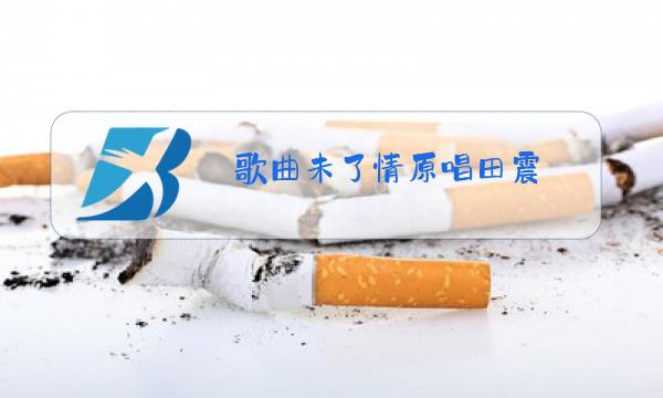 歌曲未了情原唱田震图片