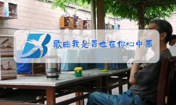歌曲我是否也在你心中原唱图片