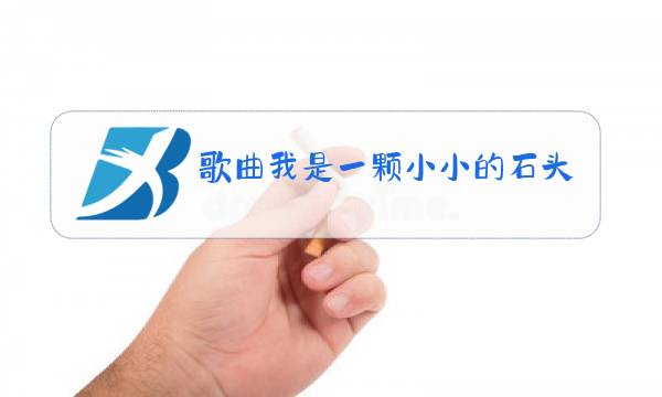 歌曲我是一颗小小的石头 原唱歌词图片