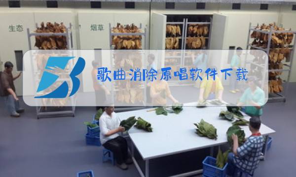 歌曲消除原唱软件下载图片