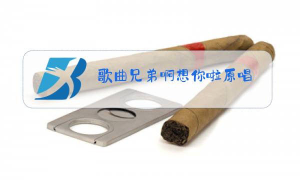 歌曲兄弟啊想你啦原唱图片