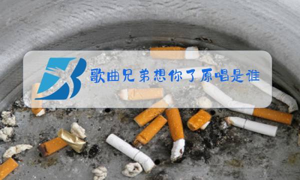 歌曲兄弟想你了原唱是谁图片