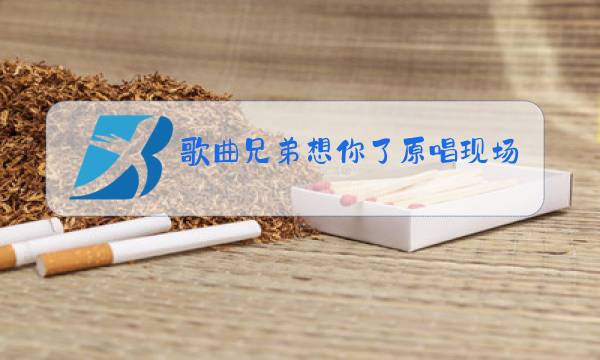 歌曲兄弟想你了原唱现场版图片