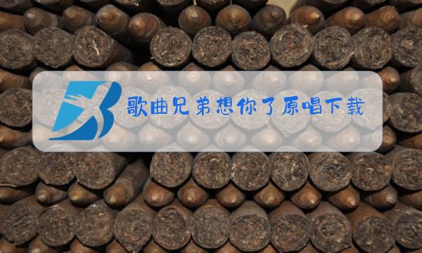 歌曲兄弟想你了原唱下载图片