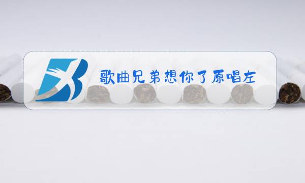 歌曲兄弟想你了原唱左图片