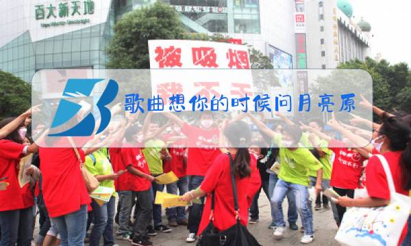 歌曲想你的时候问月亮原唱视频图片