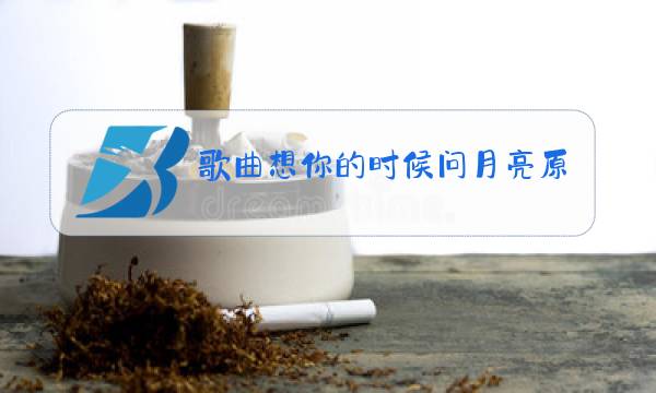 歌曲想你的时候问月亮原唱梅朵下载