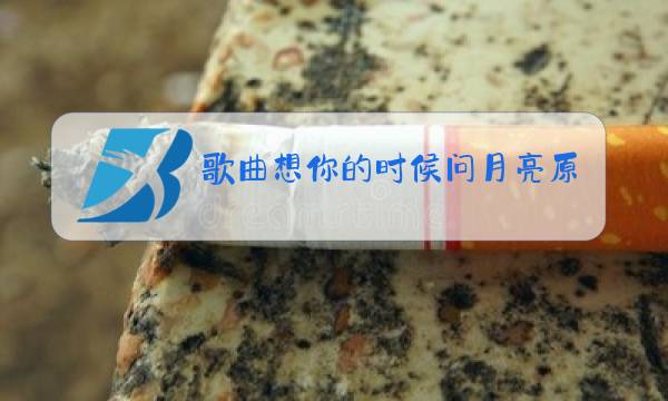 歌曲想你的时候问月亮原唱dj图片