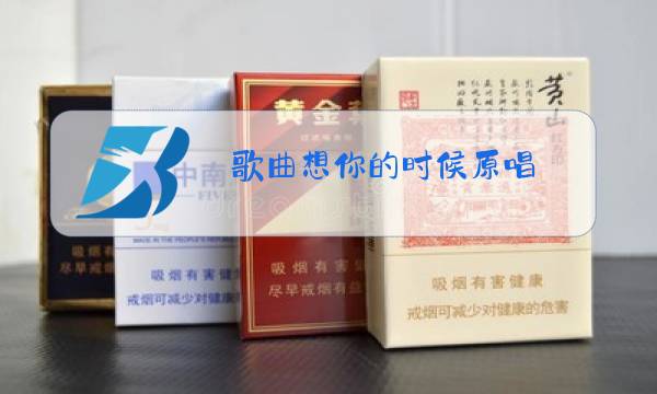 歌曲想你的时候原唱图片