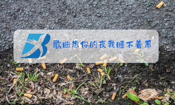 歌曲想你的夜我睡不着原唱图片