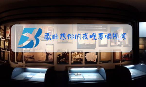 歌曲想你的夜晚原唱视频图片