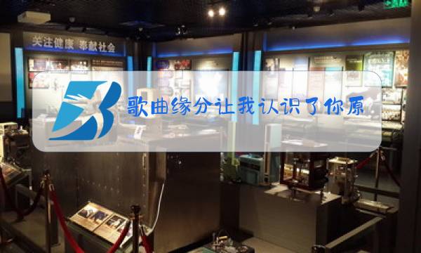 歌曲缘分让我认识了你原唱带歌词图片