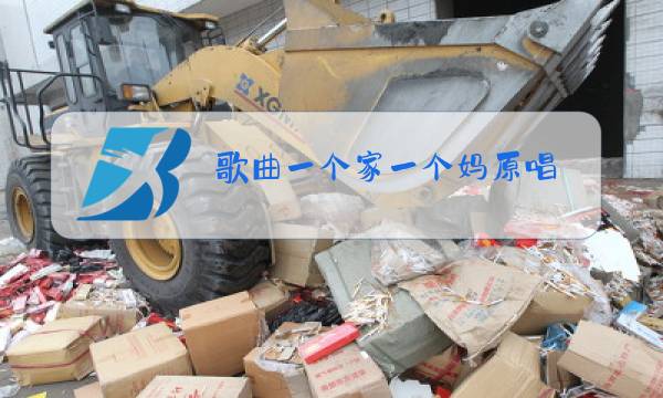 歌曲一个家一个妈原唱图片