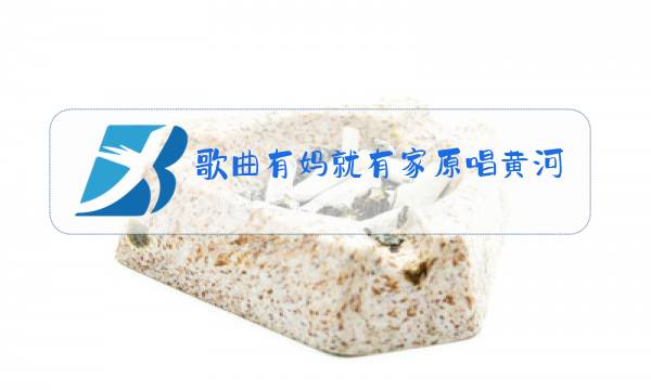 歌曲有妈就有家原唱黄河图片