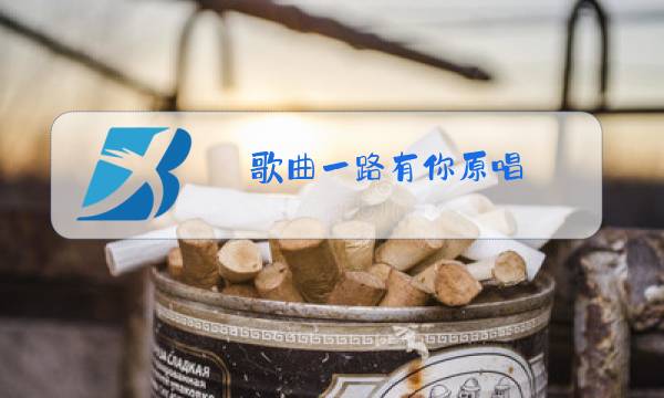 歌曲一路有你原唱图片