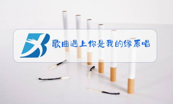 歌曲遇上你是我的缘原唱视频图片