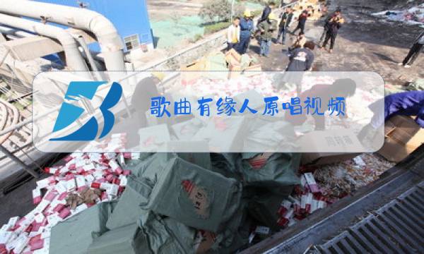 歌曲有缘人原唱视频图片