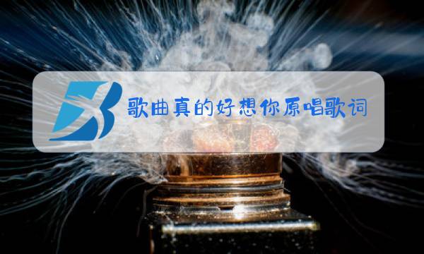 歌曲真的好想你原唱歌词图片