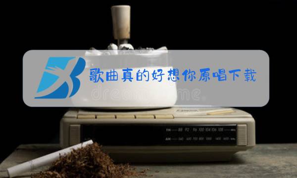 歌曲真的好想你原唱下载图片