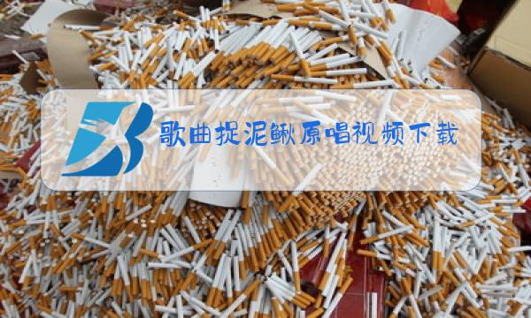 歌曲捉泥鳅原唱视频下载图片