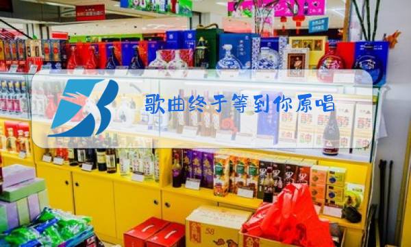 歌曲终于等到你原唱图片