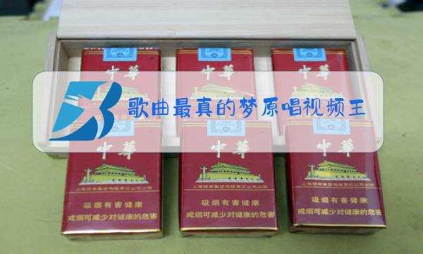歌曲最真的梦原唱视频王菲图片