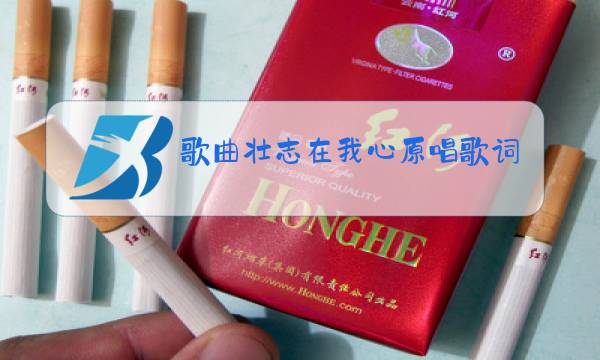 歌曲壮志在我心原唱歌词图片