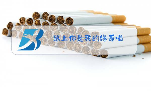 跟上你是我的缘原唱图片