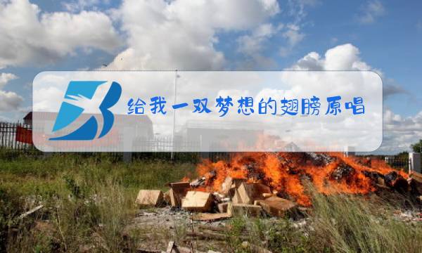 给我一双梦想的翅膀原唱图片
