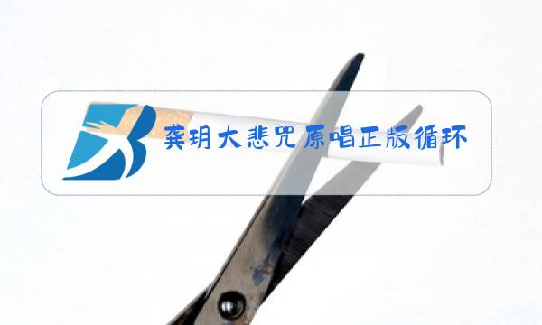 龚玥大悲咒原唱正版循环播放图片