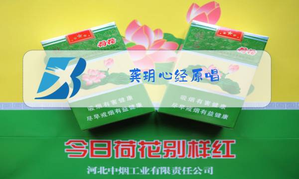 龚玥心经原唱图片