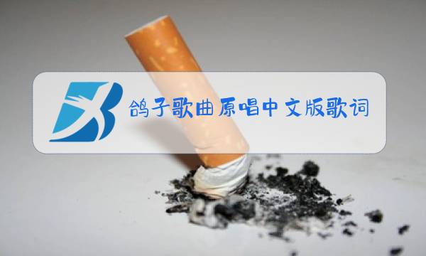 鸽子歌曲原唱中文版歌词图片