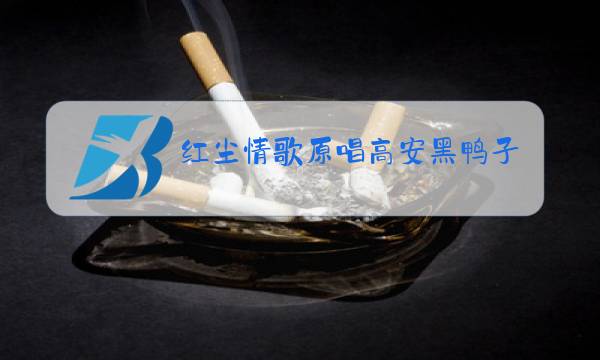 红尘情歌原唱高安黑鸭子