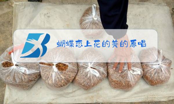 蝴蝶恋上花的美的原唱图片