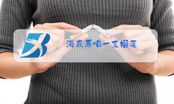 海底原唱一支榴莲图片