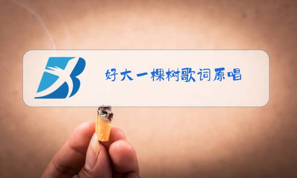 好大一棵树歌词原唱图片
