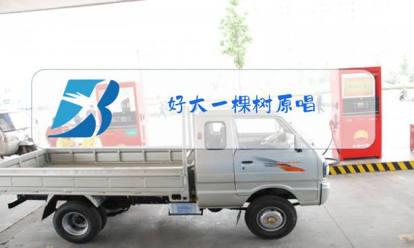 好大一棵树原唱图片