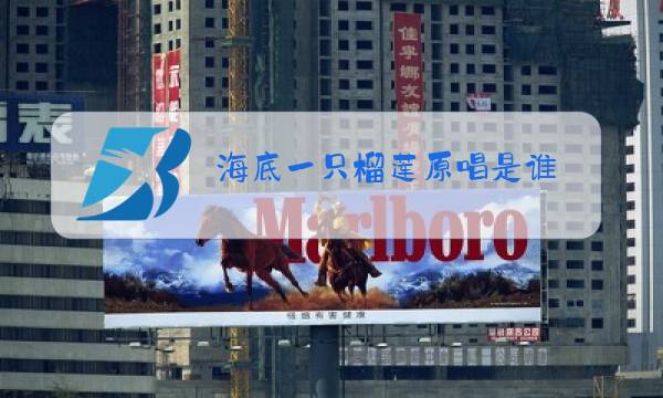 海底一只榴莲原唱是谁图片
