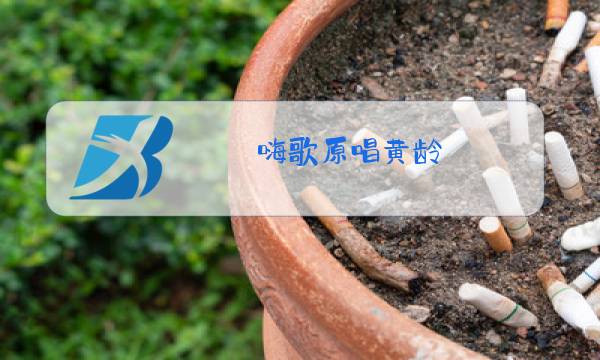 嗨歌原唱黄龄图片