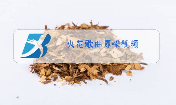 火花歌曲原唱视频图片