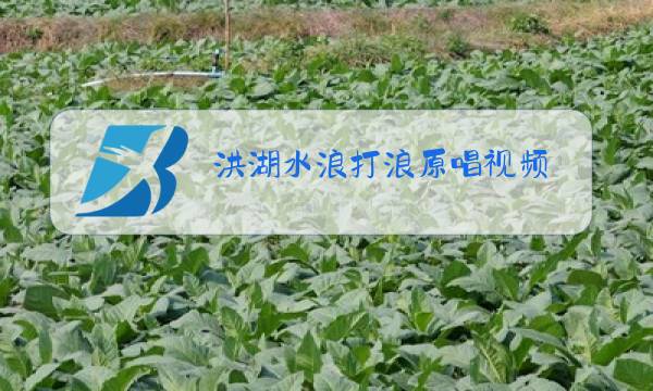 洪湖水浪打浪原唱视频图片